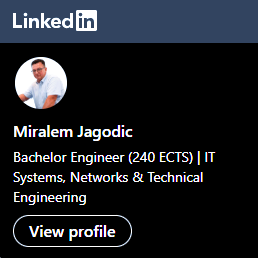 LinkedIn profil Miralema Jagodića